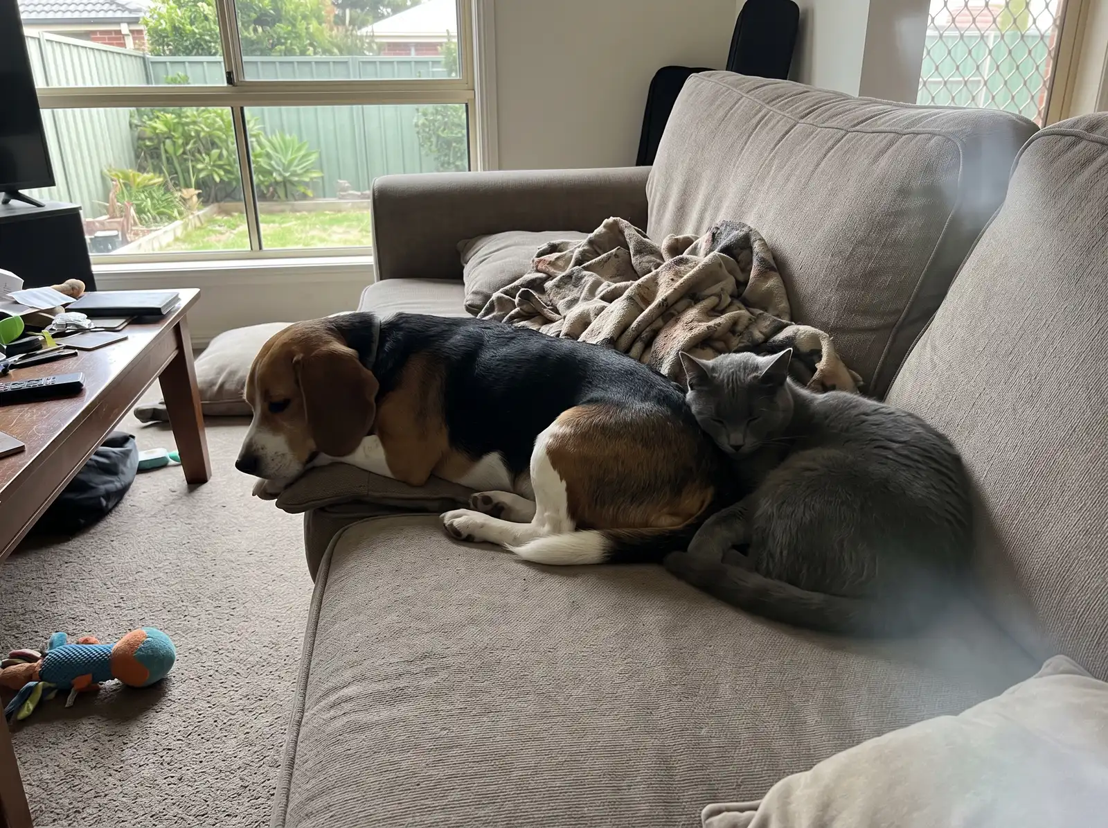 AI-generated sample multiple-pets