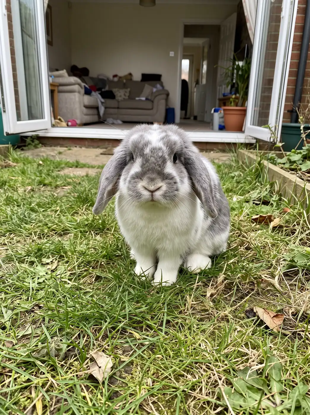 AI-generated sample rabbit