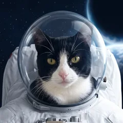 Astronaut portrait of an AI-generated sample pet