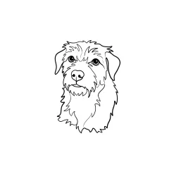 Minimal Line Art portrait of an AI-generated sample pet